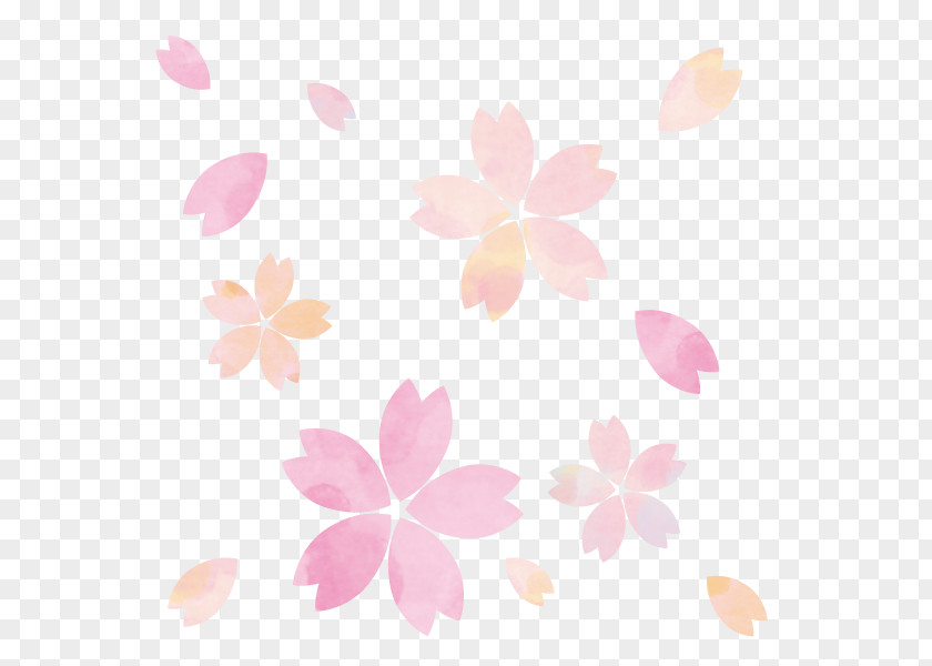 Watercolor Sakura Flower Illustration. PNG