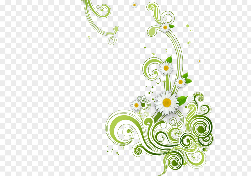 Decorative Green Background Pattern PNG