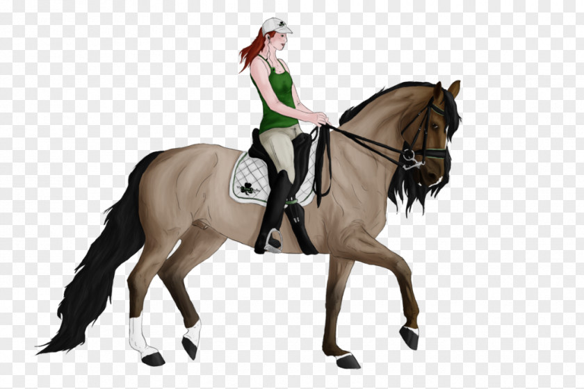 Equestrian Sport Stallion Dressage Rein Mustang Mare PNG