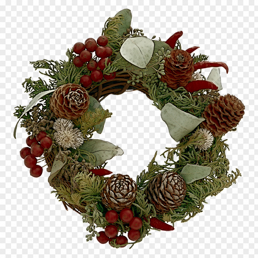 Floral Design Pine Family Christmas Decoration PNG