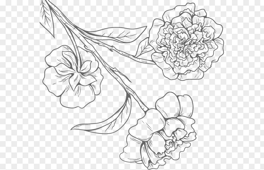 Fresh Flowers Vector Image Floral Design Black And White PNG