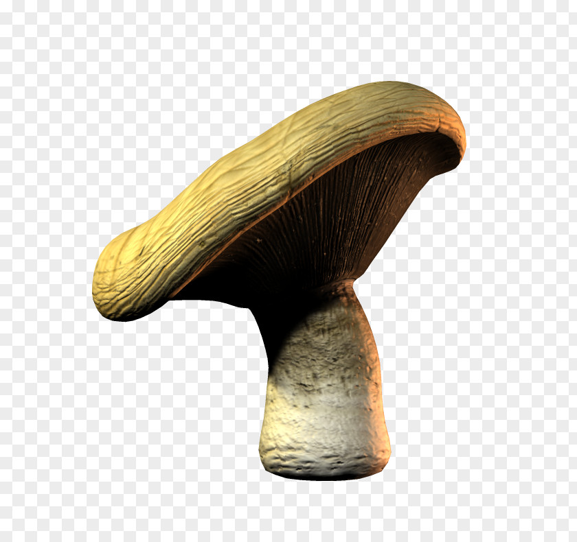 Mushroom Edible Pleurotus Eryngii File Format PNG