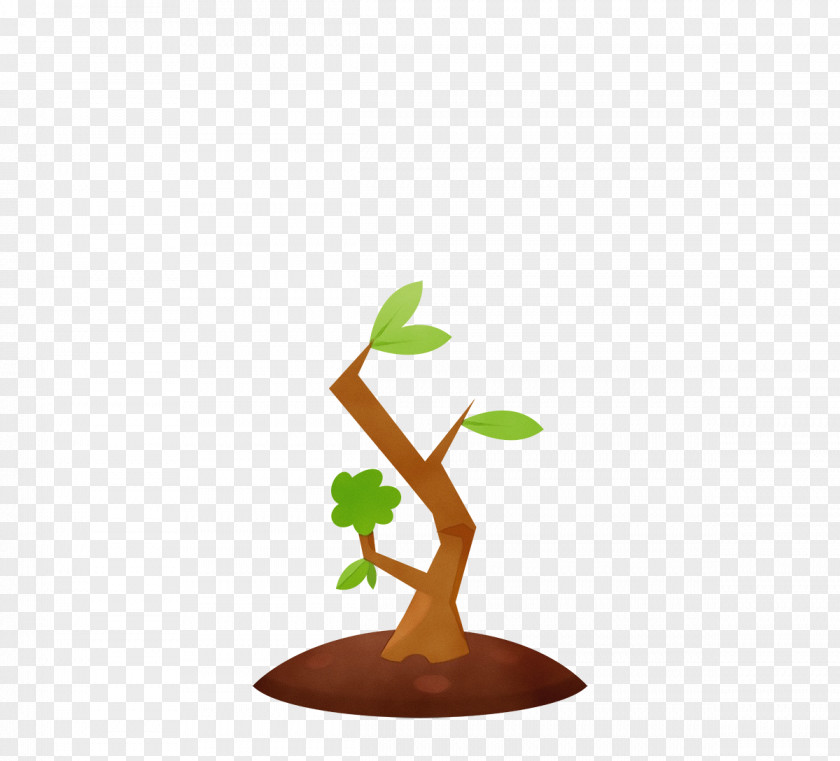 Plant Stem Houseplant Flowerpot Tree Branching PNG