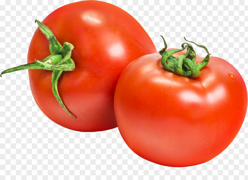 Tomato PNG