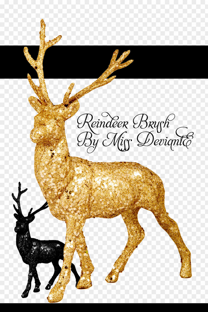Animal Brush Reindeer Santa Claus Christmas Ornament PNG