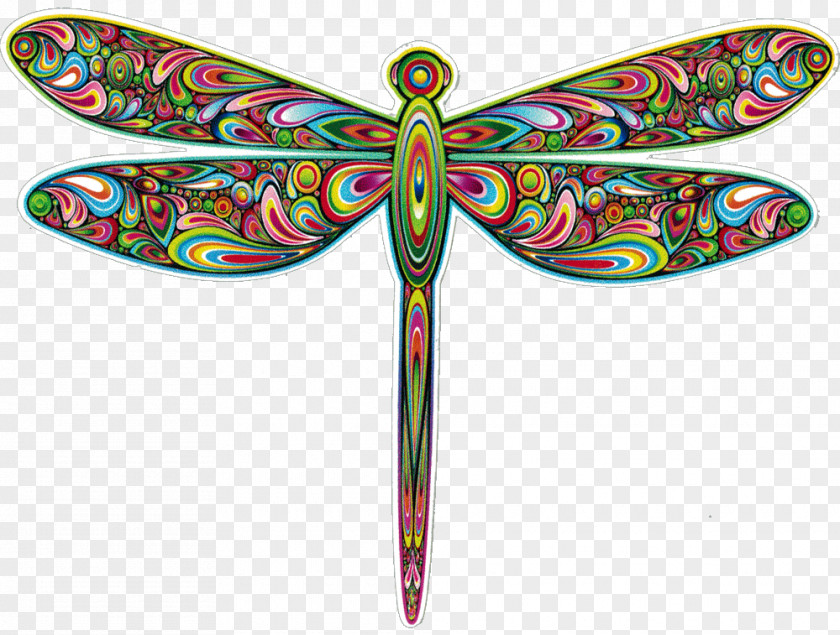 Dragon Fly Dragonfly Psychedelic Art Psychedelia Clip PNG