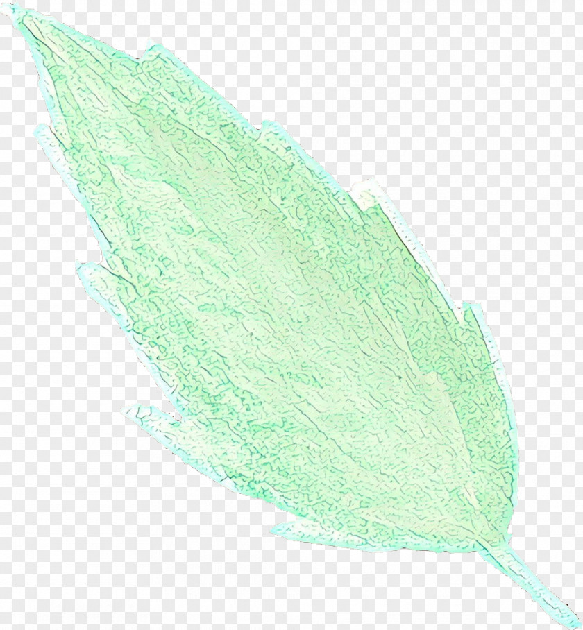 Feather PNG