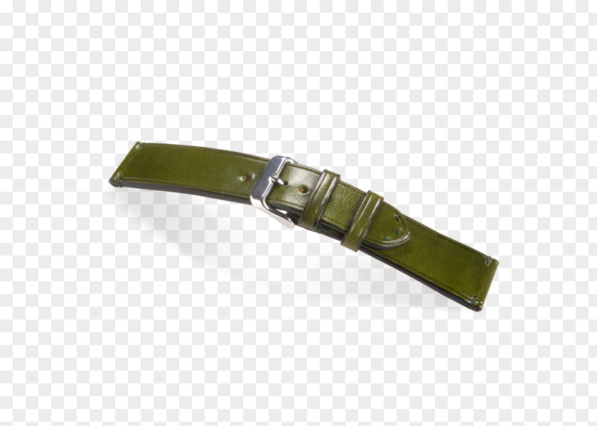 If You Are Subscribed To Our Premium Account Belt Buckle Watch Strap PNG
