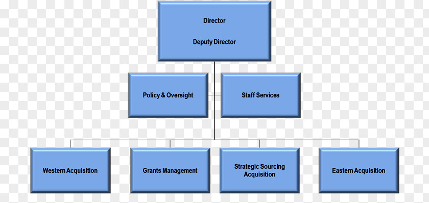 Organization Structure Organizational Chart Small Business PNG