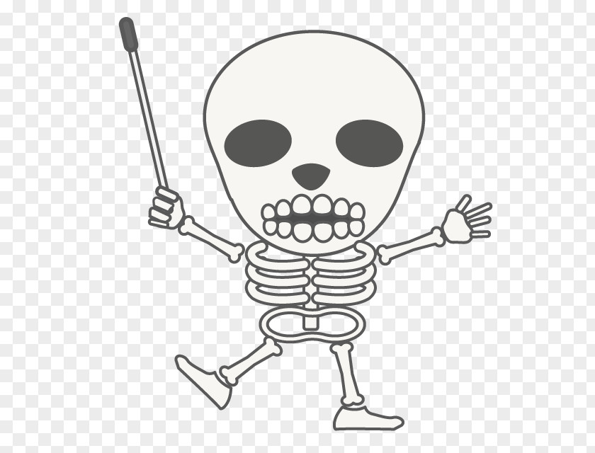 Skeleton Bone Clip Art Illustration Osteopathy Seitai PNG