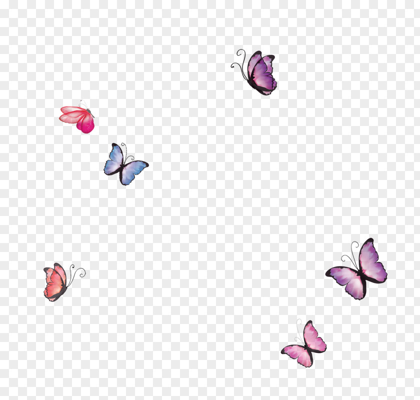 Butterfly Vase PNG
