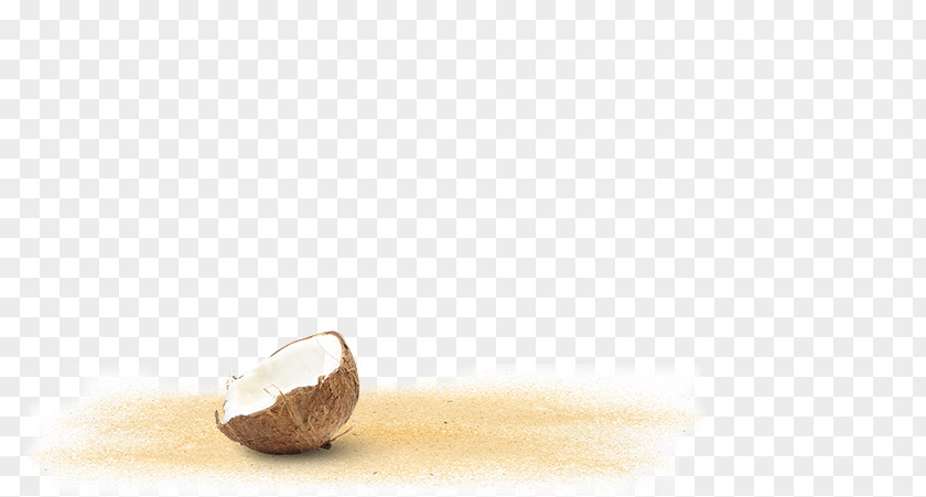 Green Coconut Flavor PNG