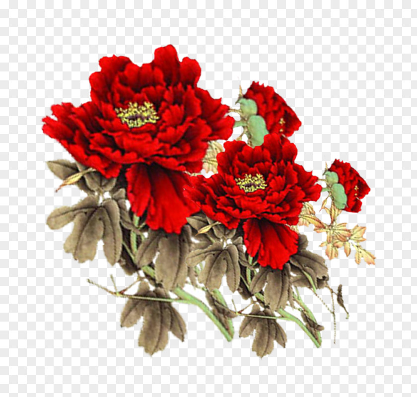 Peony Garden Roses Moutan PNG