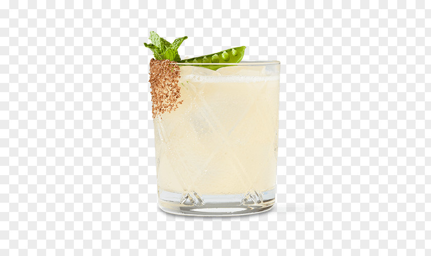 Tequila Cocktail Garnish Mai Tai Mint Julep Batida PNG