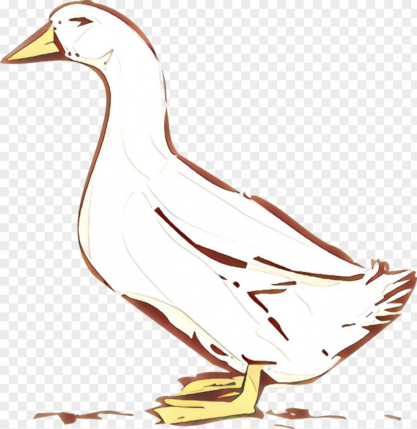 Wildlife Tail Bird Beak Water Duck Goose PNG