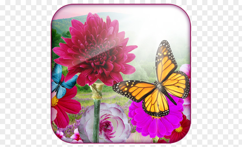 Android Monarch Butterfly Papasan Chair Flower PNG