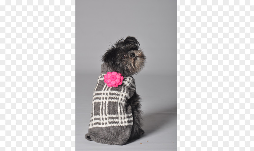Flower Ps Material Affenpinscher Dog Breed Schnoodle Puppy Clothing PNG