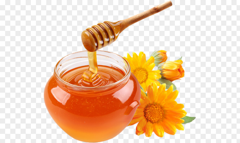 Honey Sugar Food PNG