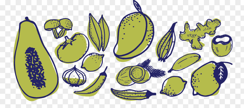 Clip Art Illustration Fruit Vegetable Flower PNG