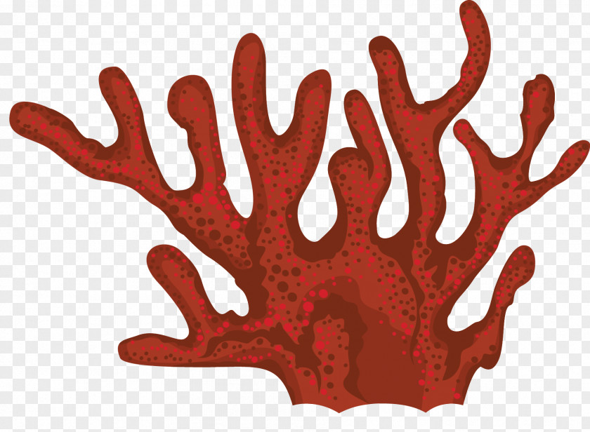 Coral Seaweed Clip Art PNG