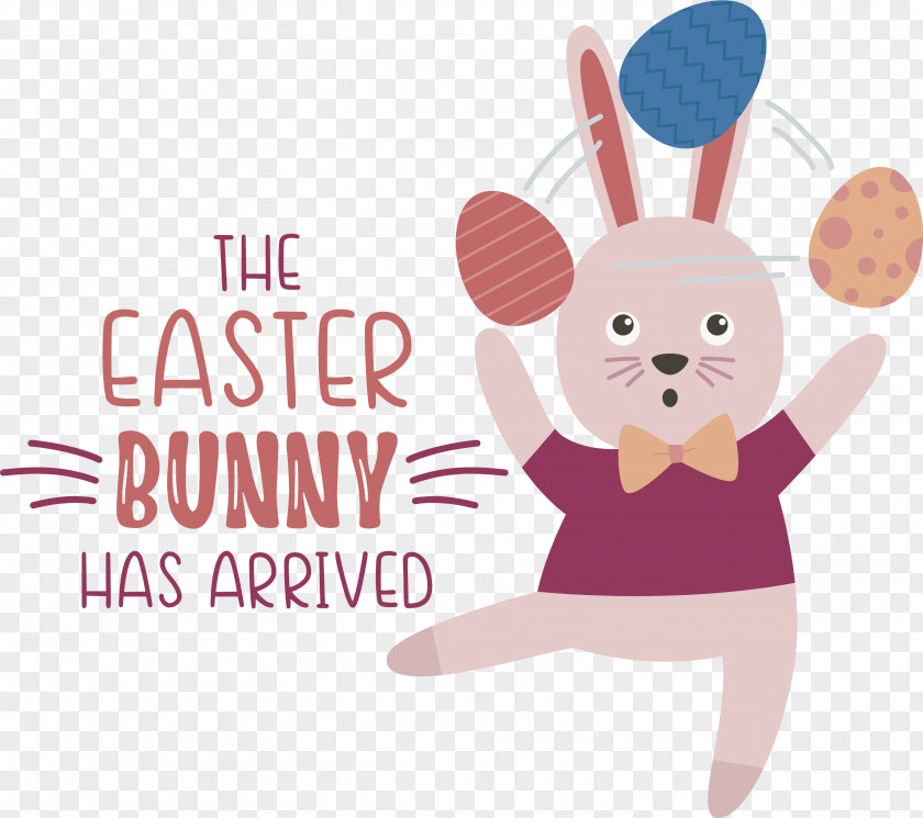 Easter Bunny PNG