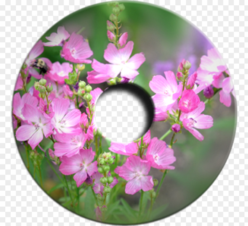 Flower Desktop Wallpaper Metaphor Petal Garden Roses PNG