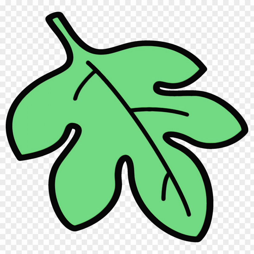 Line Art Plant Green Leaf Symbol PNG