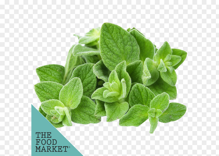 Oil Essential Oregano Aromatherapy Food PNG