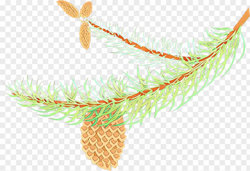 Pine Family Branch Feather PNG
