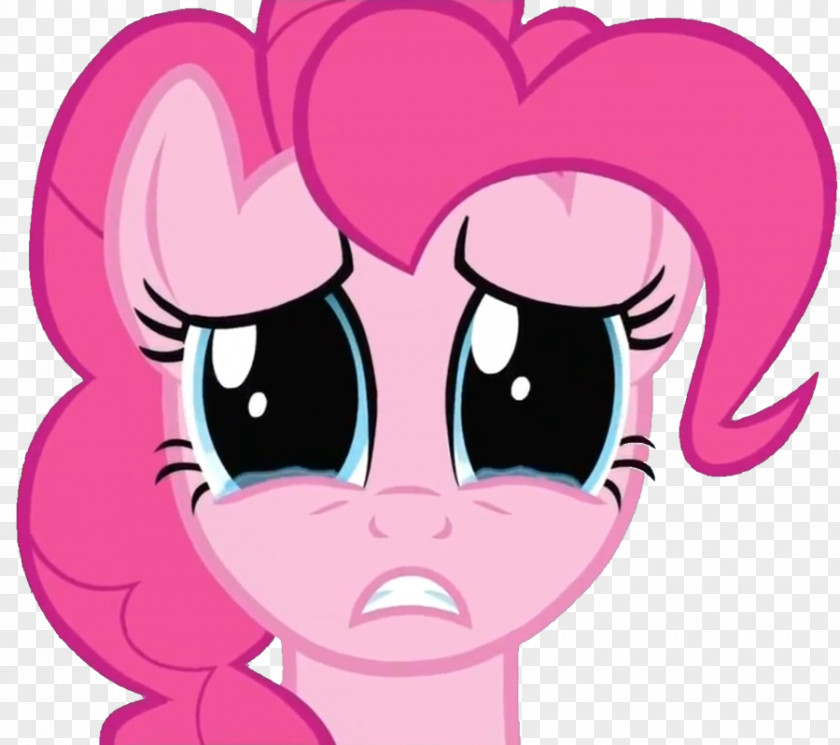 Pinkie Pie Rarity Rainbow Dash Twilight Sparkle Pony PNG