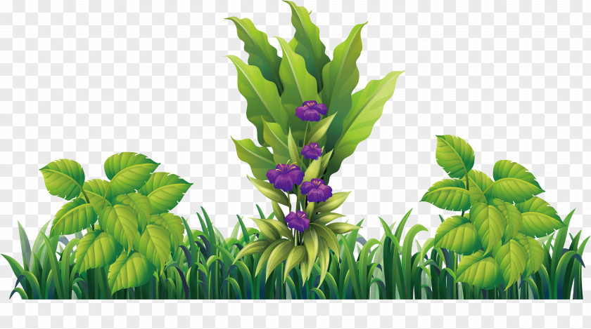 Purple Flowers On The Grass Designer PNG