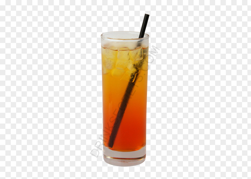 Cocktail Bay Breeze Squash White Russian Orange Drink PNG