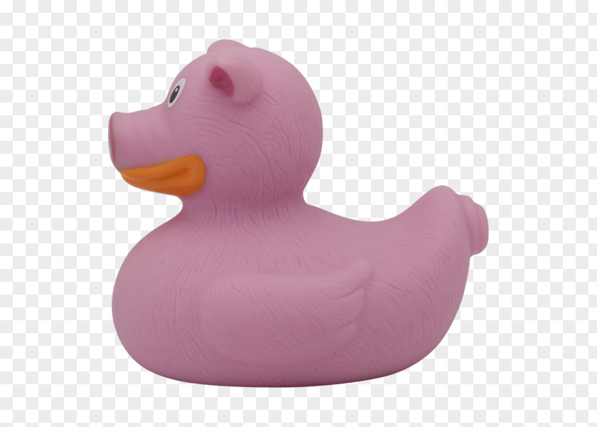 Duck Domestic Pig Sindiseca Toys Model PNG