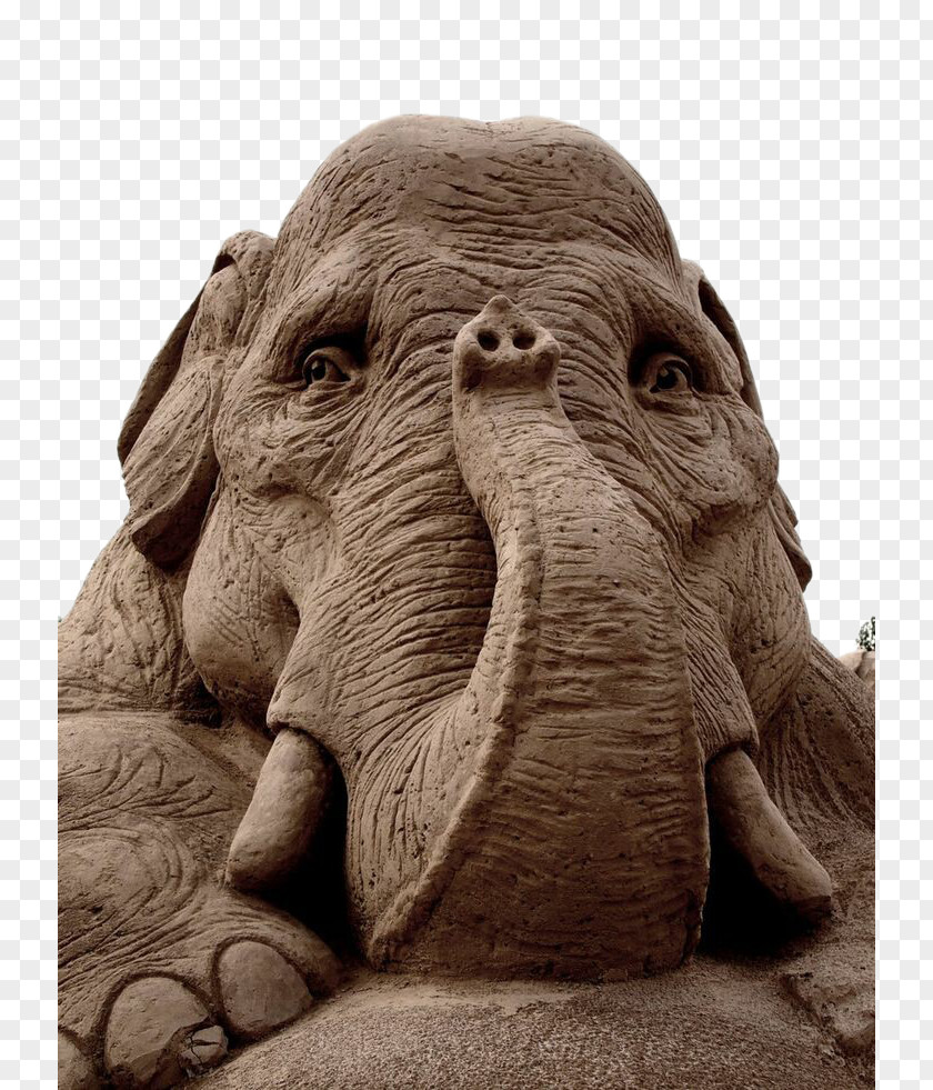 Elephant Sand Sculpture Art And Play Castle PNG
