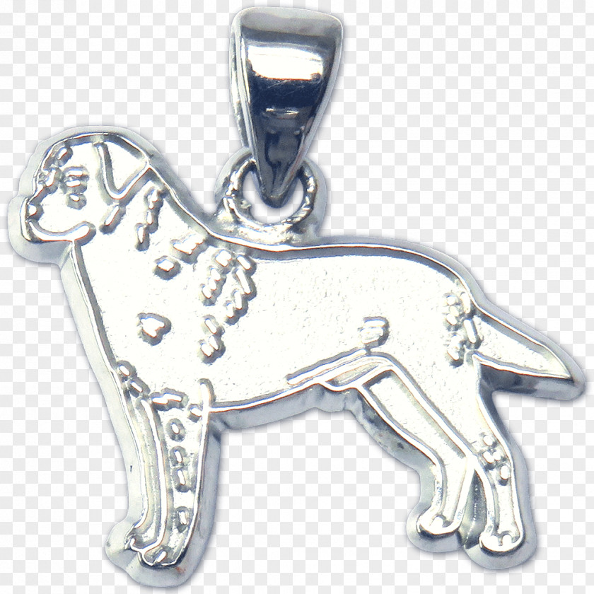 Gold Charms & Pendants Labrador Retriever Charm Bracelet Silver PNG