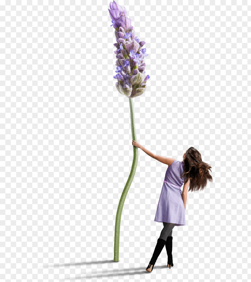 Miss Target Cosmetics Floral Design Lavender Uzd Cut Flowers PNG