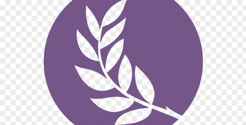 Olive Branch Church Logo Symbol PNG