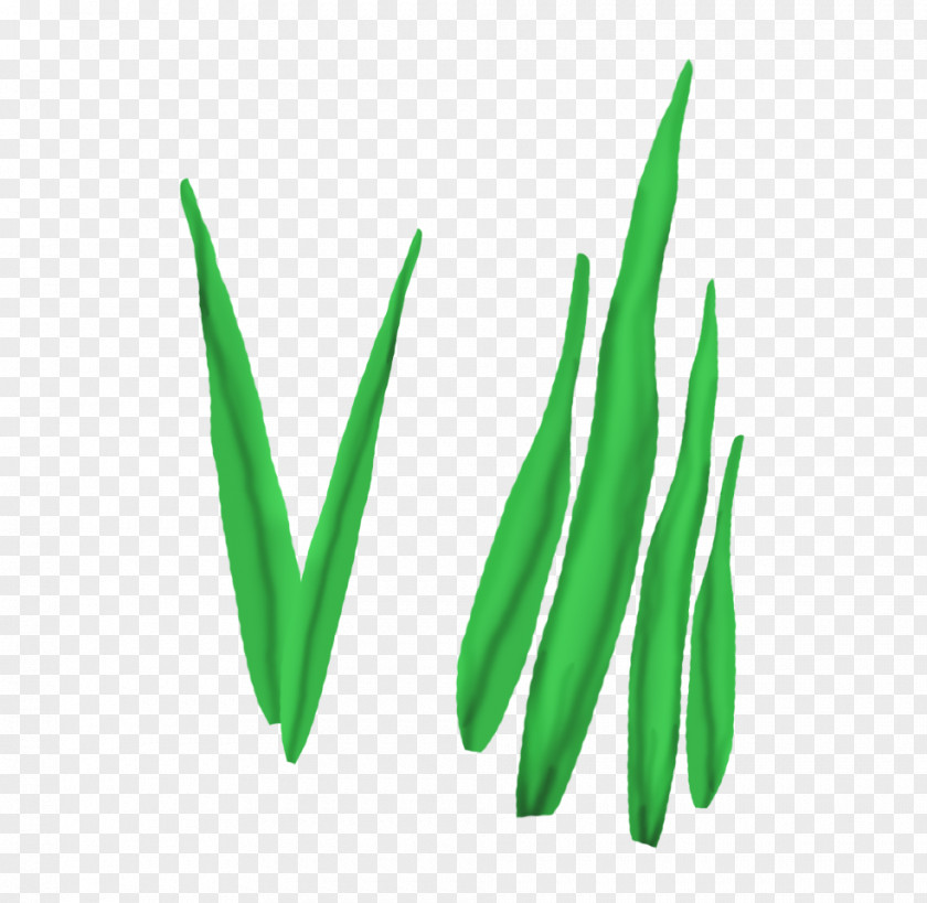 Plant Green Leaves Leaf Logo Font PNG