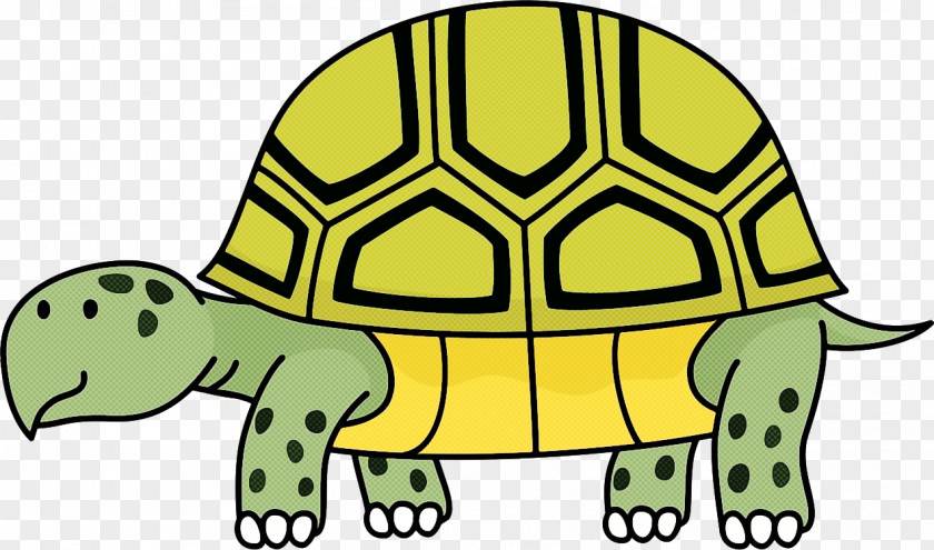 Reptile Animal Figure Tortoise Green Turtle Yellow Clip Art PNG