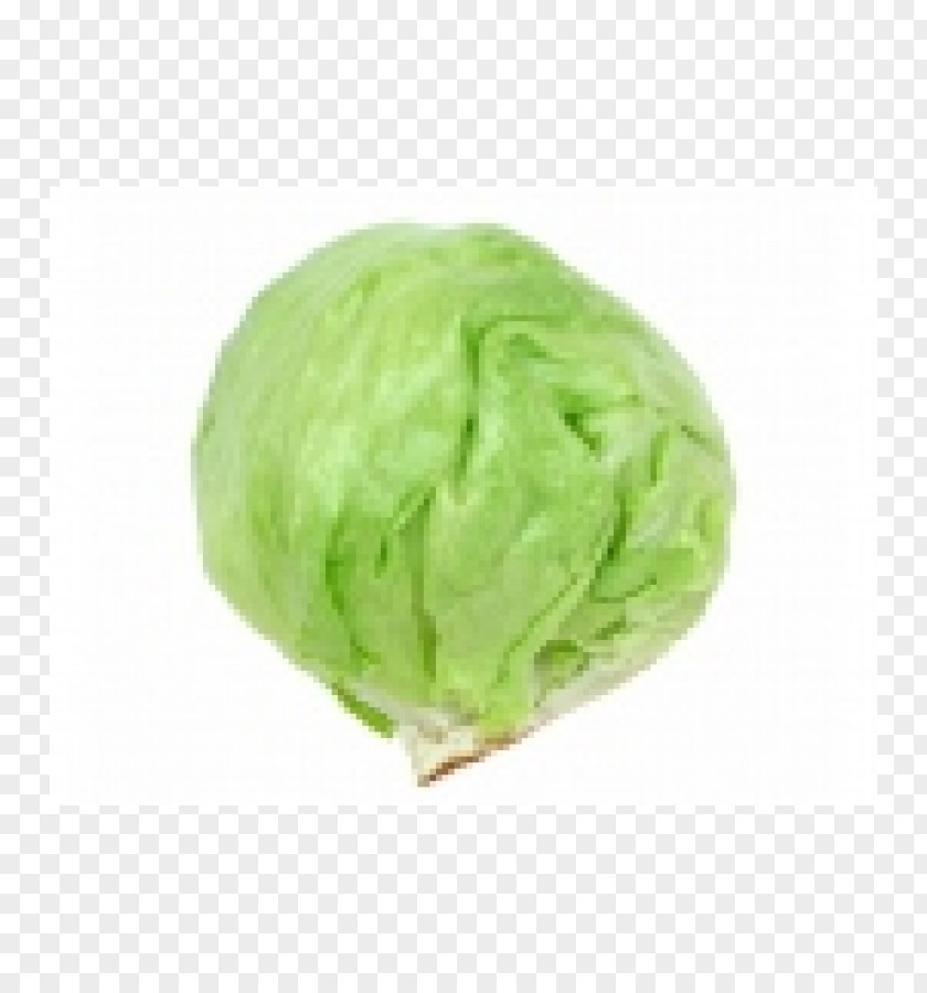 Vegetable Iceberg Lettuce Romaine Salad Produce PNG