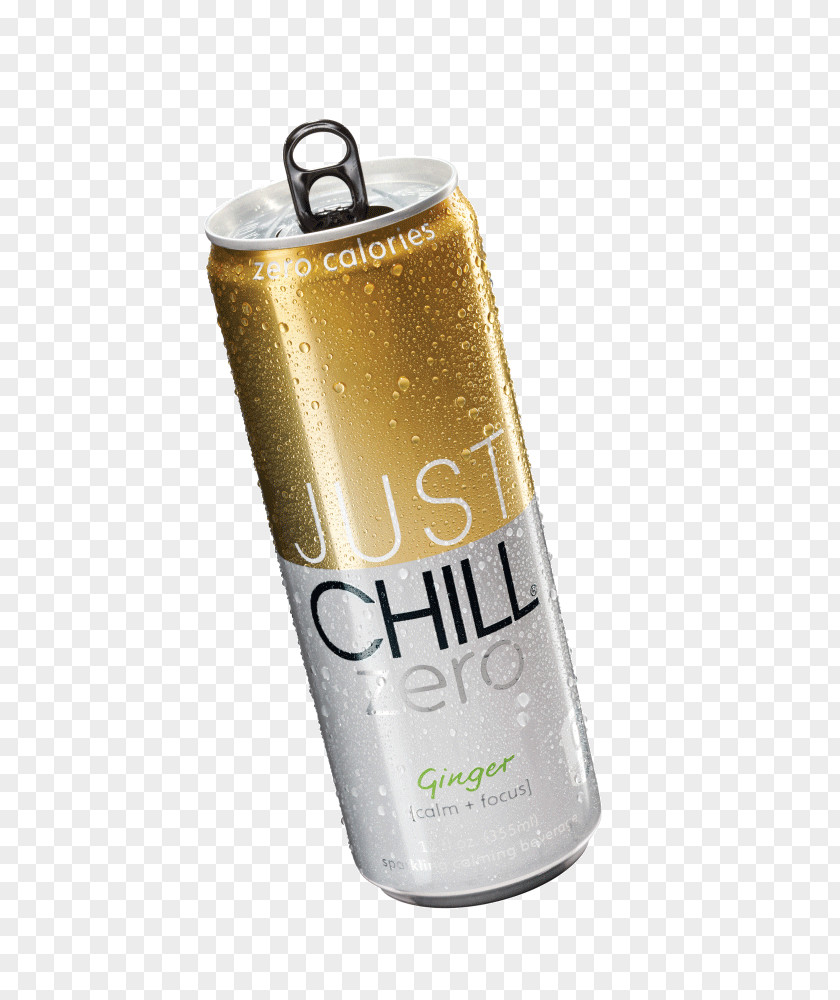 Drink Just Chill Water Park Liquid Ginger PNG