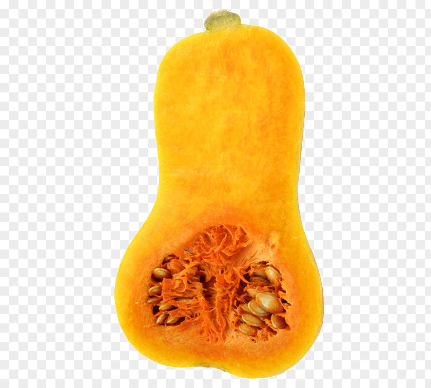 Fresh Papaya Butternut Squash Calabaza Cucurbita Vegetable Pumpkin PNG