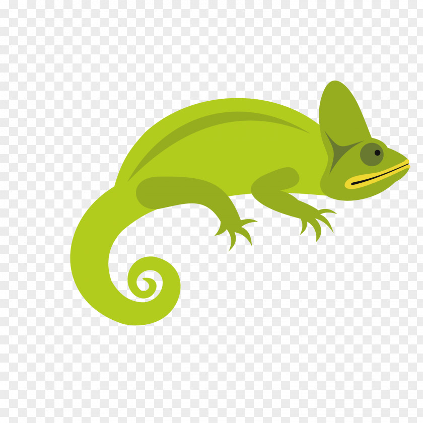 Green Chameleon Chameleons Lizard Reptile Illustration PNG