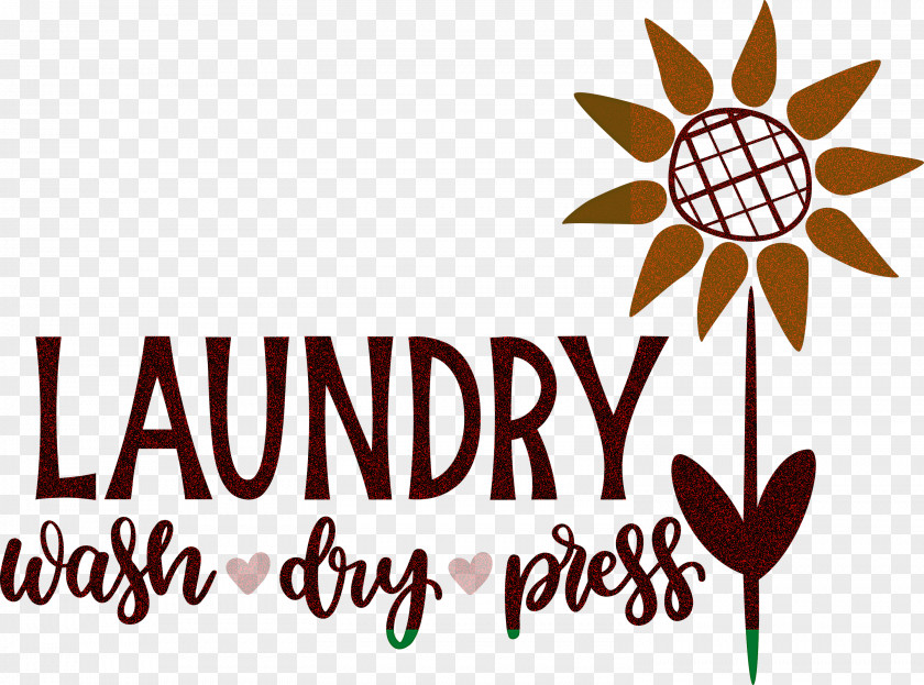 Laundry Wash Dry PNG