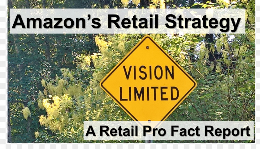 Retail Strategy Amazon.com Management Tommy Hilfiger PNG