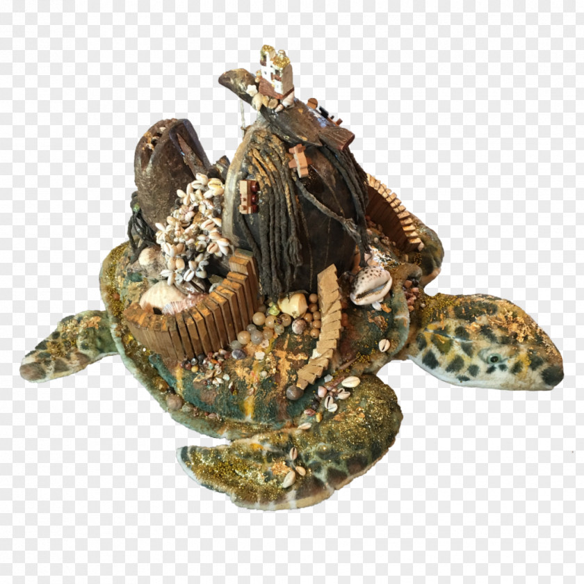 Turtle Tortoise Pond Turtles Dance Light PNG