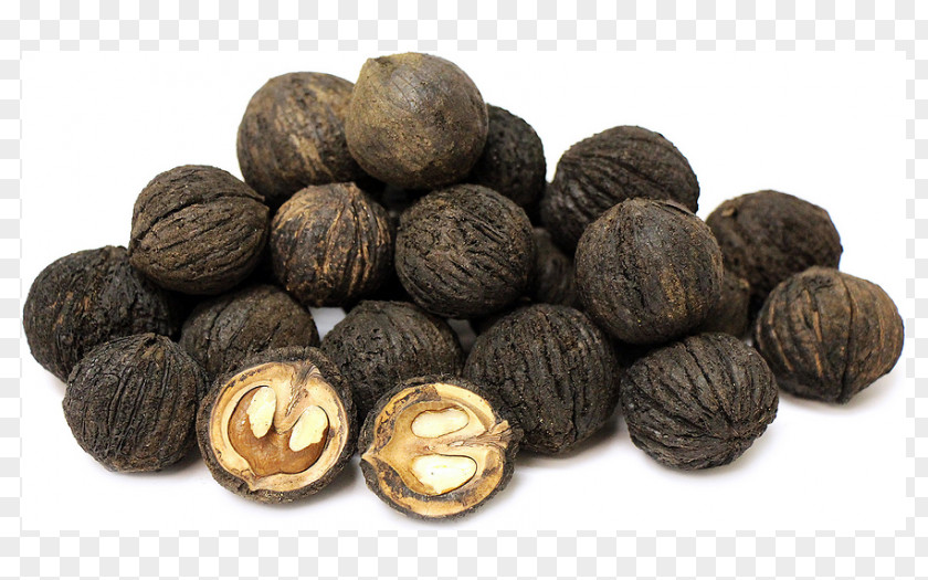 Walnut Eastern Black English Ingredient PNG