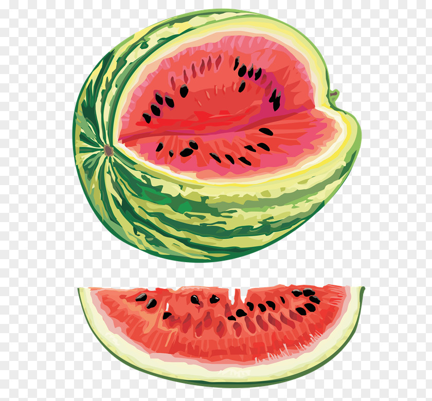 Watermelon Seed Oil Citrullus Lanatus Var. Clip Art PNG