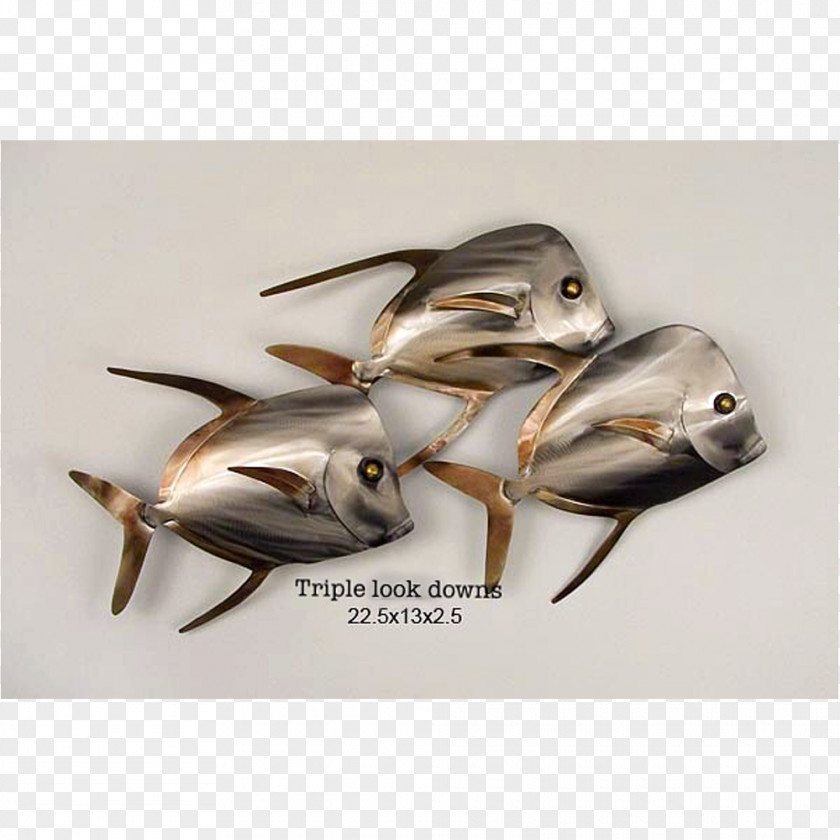 3D Fish Lookdown Decorative Arts Metal Shoaling And Schooling PNG