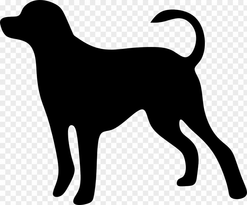 Animal Silhouettes Dog Cat The Loss Of A Pet PNG